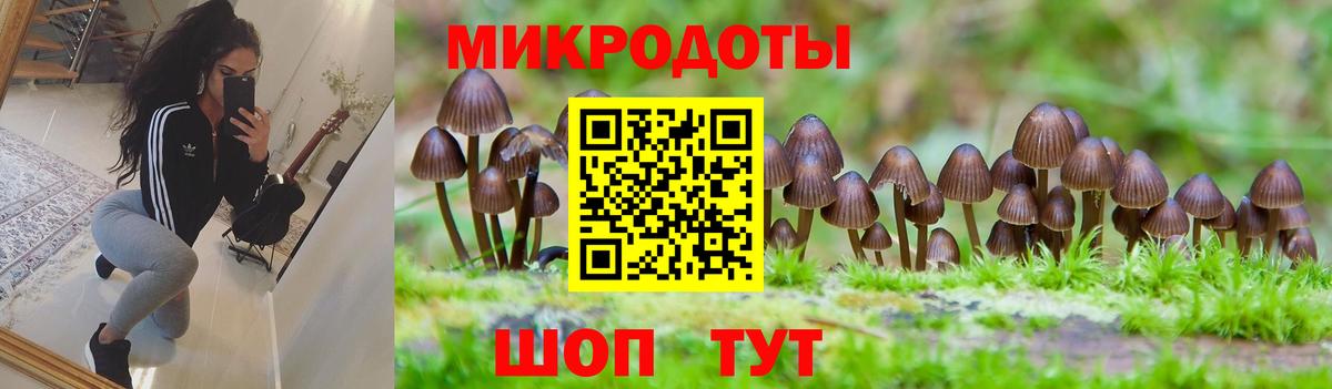Прохладный  Псилоцибиновые грибы прущие грибы  Вход с VPN 